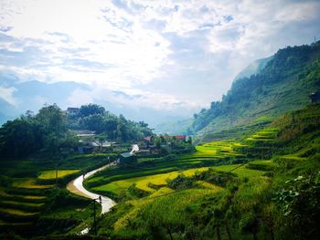 Scenic view of agricultural field against sky