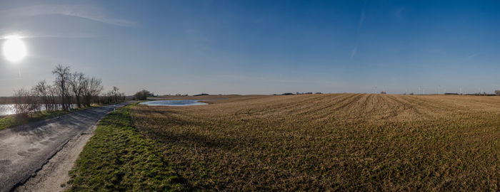 Scenic view of agricultural field against sky