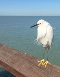 View of sea against sky