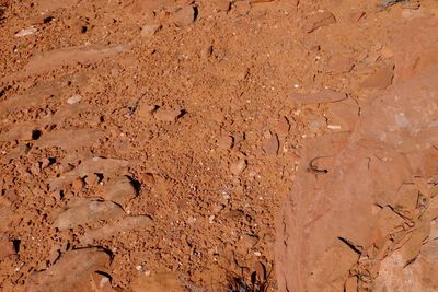 Full frame shot of mud on field