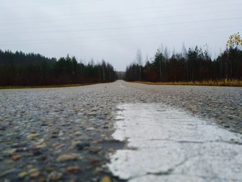 Surface level of road amidst trees against sky