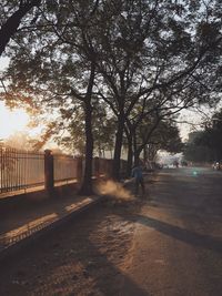 Street amidst trees in city against sky