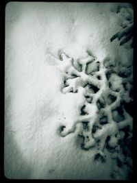 View of snow covered landscape