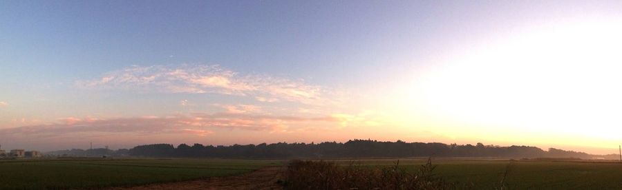 Scenic view of landscape at sunset