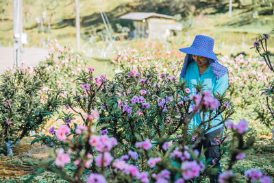 Female researcher examining flowers on land