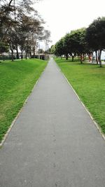 Road passing through grassy field