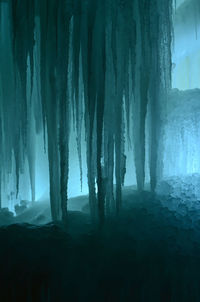 Panoramic shot of frozen trees on land