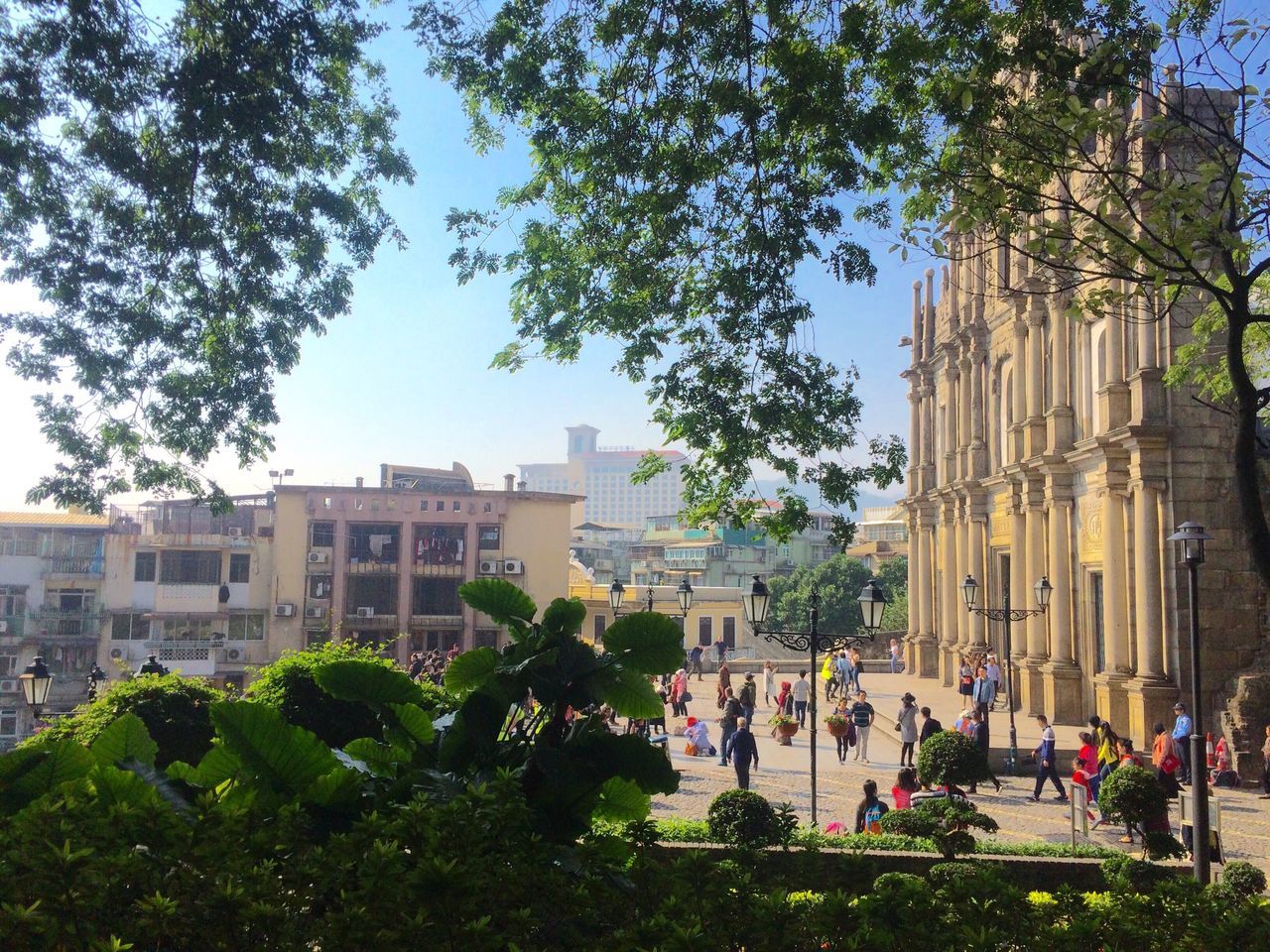 tree, city, building exterior, architecture, outdoors, built structure, clear sky, travel destinations, growth, city life, cityscape, urban skyline, day, skyscraper, people, large group of people, sky, nature