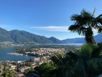 Palm trees by sea against sky