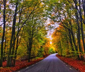 Empty road amidst trees during autumn