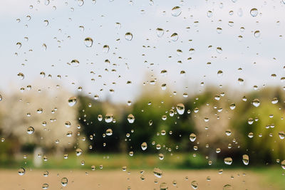 Rain drops on window against field and forest.