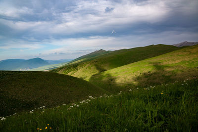 Alpine meadows in the caucasus mountains. beautiful nature in the chechen republic