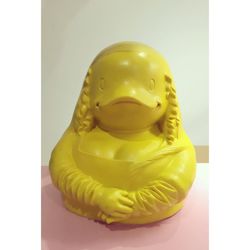 Close-up of object over white background