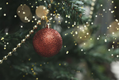 Close-up of christmas tree