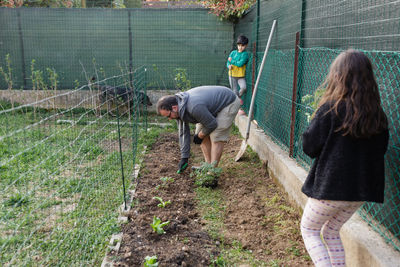 Family with two kids is planting seedlings in the garden