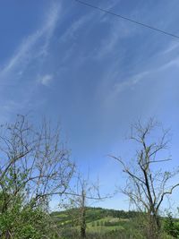 Low angle view of bare trees against blue sky