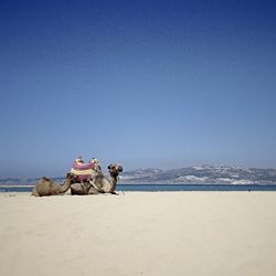 People sitting on beach against clear sky