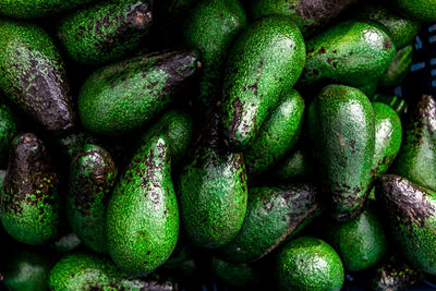 Full frame shot of avocados for sale at market