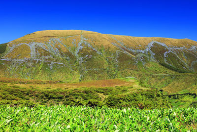 Scenic view of landscape against clear sky