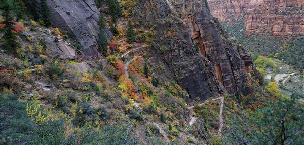 High angle view of rock formations in forest