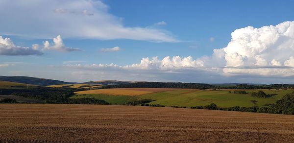 Scenic view of agricultural field against sky