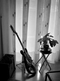 High angle view of electric guitar by houseplant at home