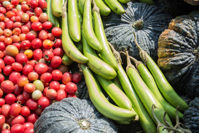 High angle view of bottle gourds and pumpkins at market for sale