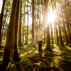 Rear view of woman standing amidst trees in forest