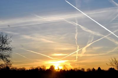 Silhouette trees on field against sky during sunset