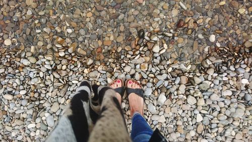 Low section of person standing on pebbles at beach