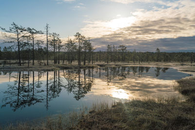 Lake at viru raba or bog swamp at lahemaa national park in autumn