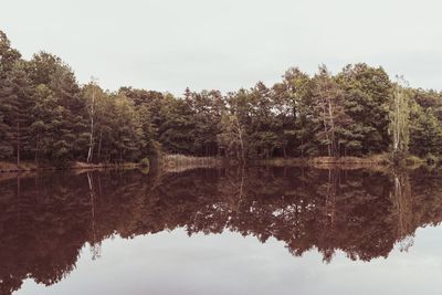 Reflection of trees in lake against sky