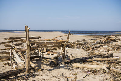 Driftwood on beach against sky