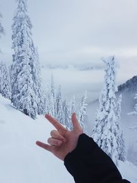 Close-up of person hand on snow covered tree against sky