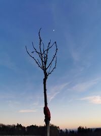 Silhouette person standing by bare tree against sky during sunset