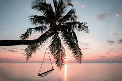 Silhouette palm tree by sea against sky during sunset