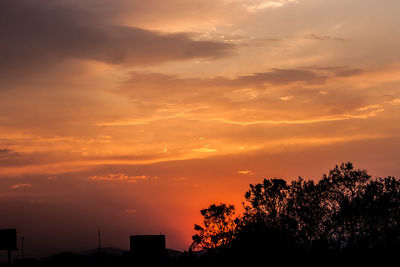 Silhouette of trees at sunset