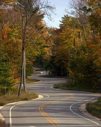 Empty road along trees