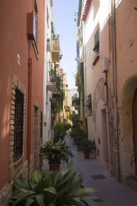 Narrow street amidst buildings in town