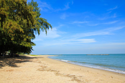 Scenic view of beach against sky