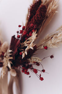 Close-up of red flowers on table