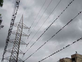 Low angle view of barbed wire against sky