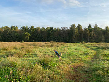 Rear view of man standing on grassy field against sky