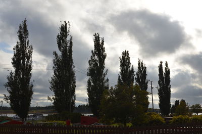 Trees on landscape against cloudy sky