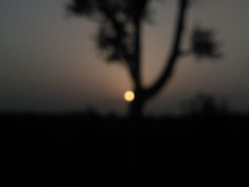 Defocused image of silhouette tree against sky at sunset