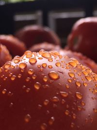 Close-up of water drops on leaf