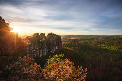 Scenic view of trees against sky during sunset