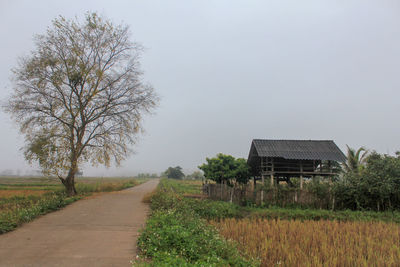 Road amidst field against sky