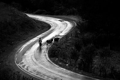 High angle view of woman walking on road