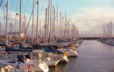 Boats in harbor